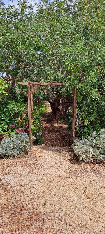 Finca Gamundi ランポーヤ エクステリア 写真